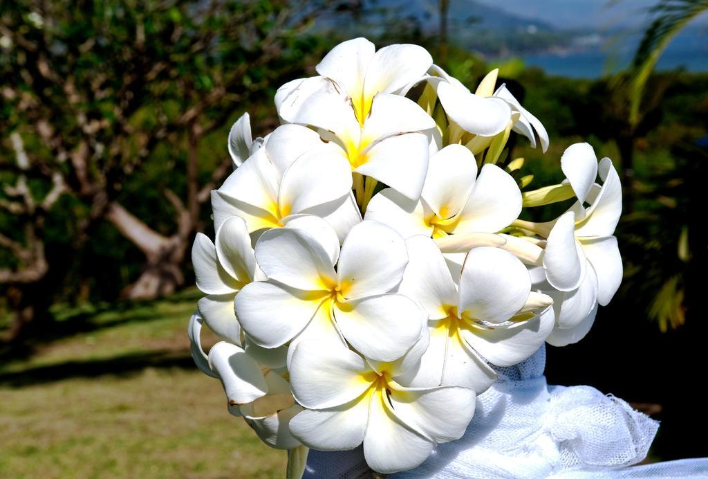 Anchorage Beach Resort Viseisei Екстериор снимка
