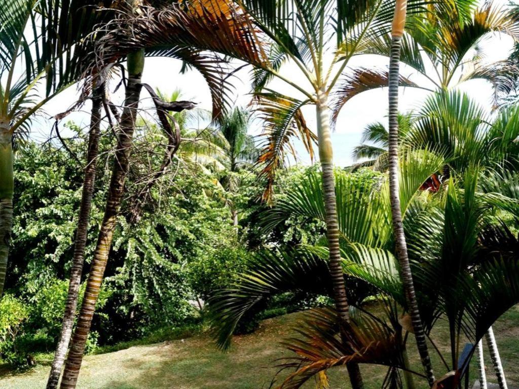 Anchorage Beach Resort Viseisei Екстериор снимка